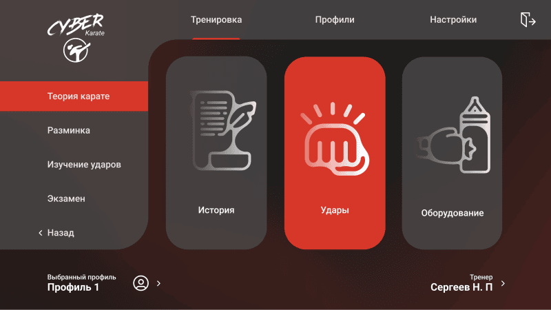 Продукт CyberKarate картинка 1 Скриншот CyberKarate картинка 1