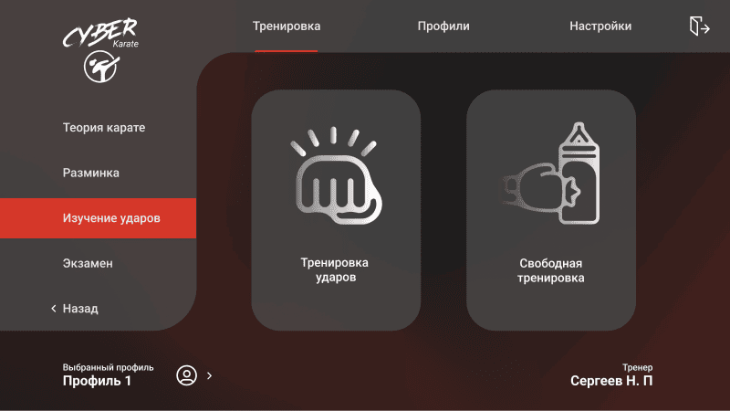 Скриншот CyberKarate — VR-тренажёр для боевых искусств картинка 2