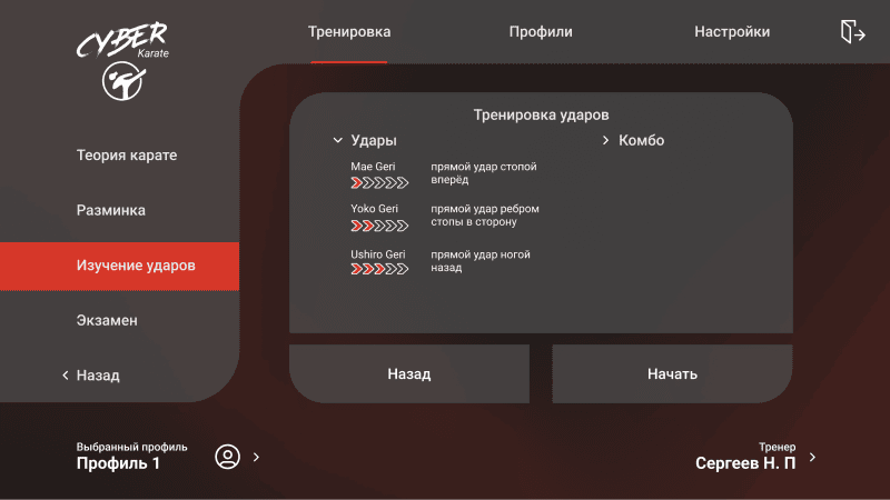 Скриншот CyberKarate — VR-тренажёр для боевых искусств картинка 3