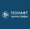 Geonaft Web Solution