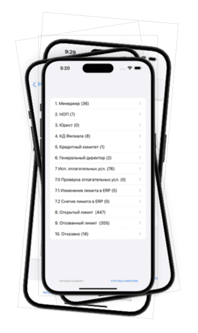 Скриншот СУДЗ Система Управления Дебиторской Задолженностью картинка 5