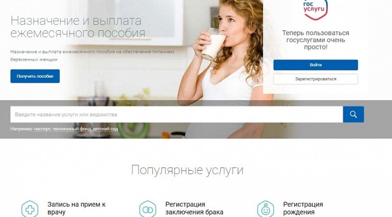 Скриншот Информационная система "Региональный портал государственных и муниципальных услуг" картинка 5