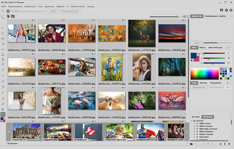 Скриншот AliveColors картинка 1