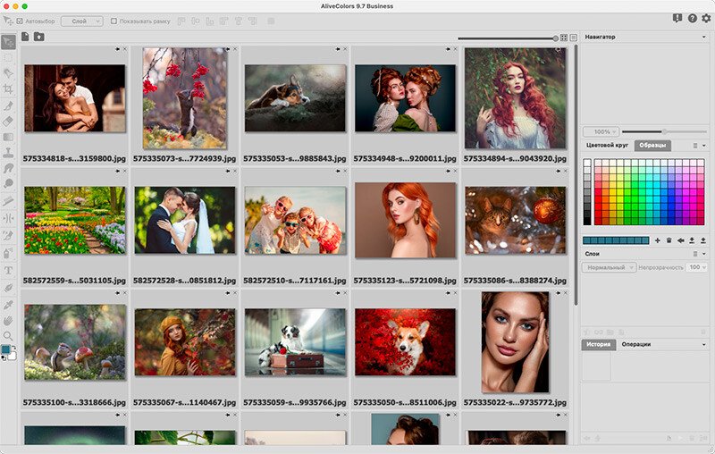 Скриншот AliveColors картинка 4