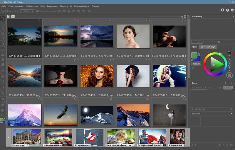 Скриншот AliveColors картинка 6