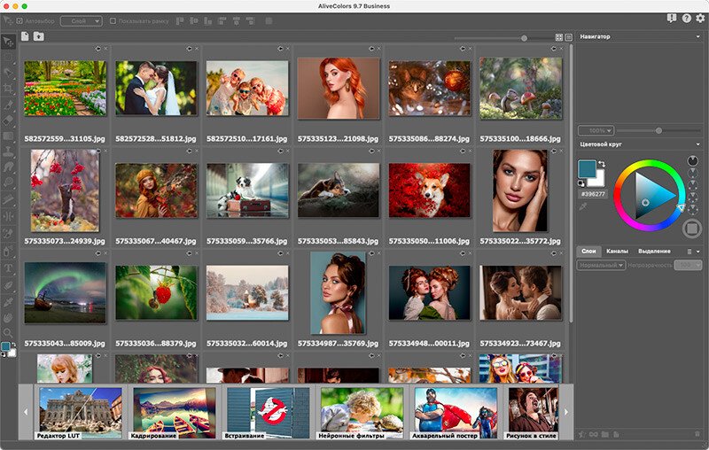 Скриншот AliveColors картинка 7