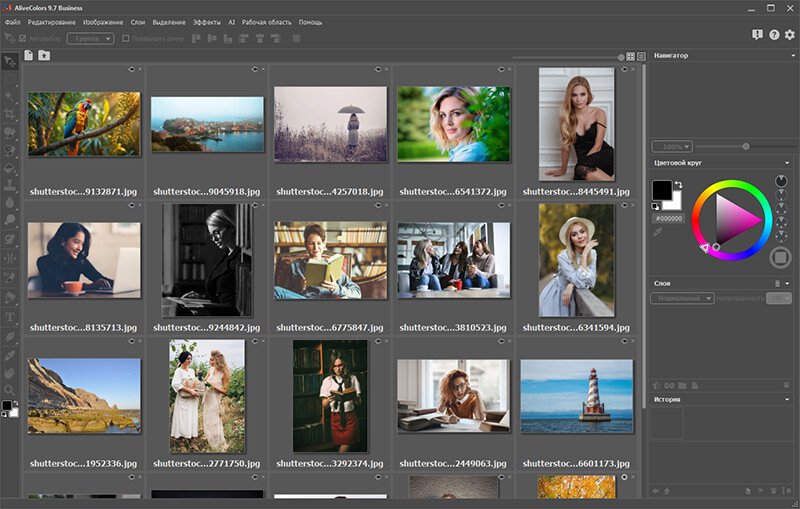 Скриншот AliveColors картинка 8