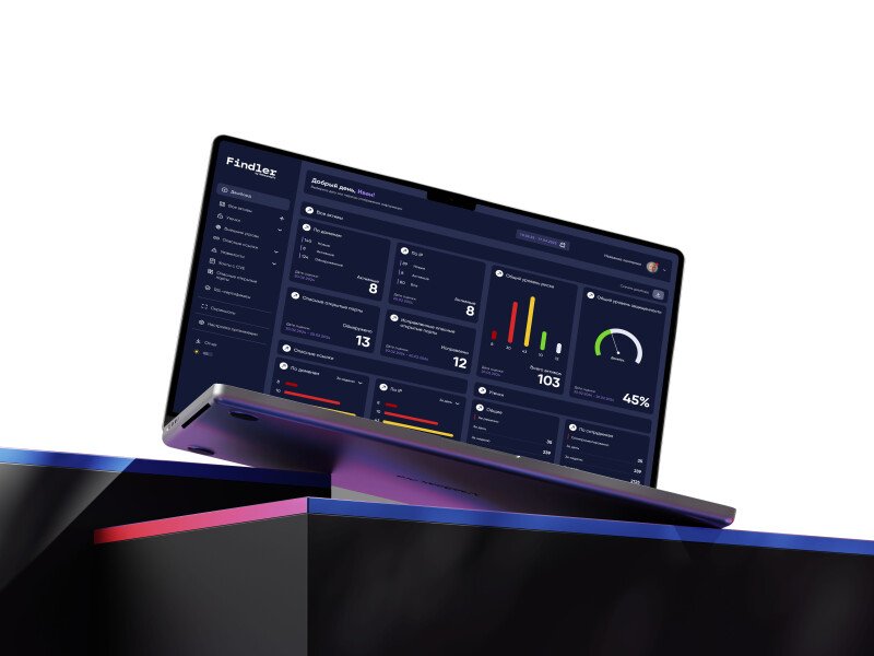 Скриншот FINDLER EASM